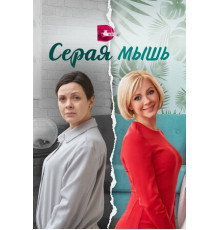 Серая мышь