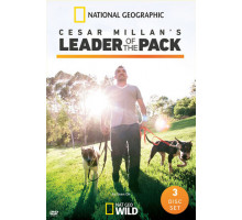 Сесар Миллан: Вожак стаи