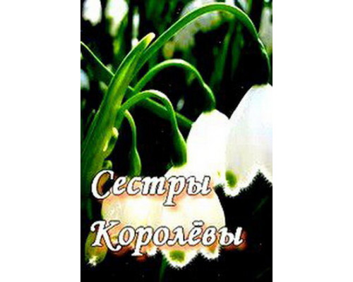 Сестры Королевы смотреть онлайн