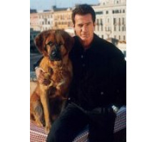 Собачье дело