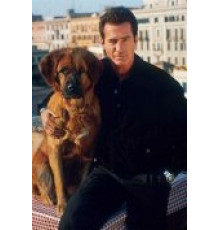 Собачье дело