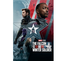 Сокол и Зимний Солдат