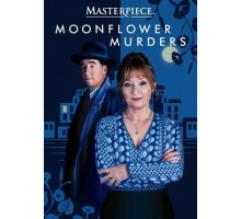 Совы охотятся ночью