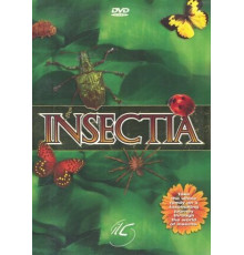 Страсти по насекомым