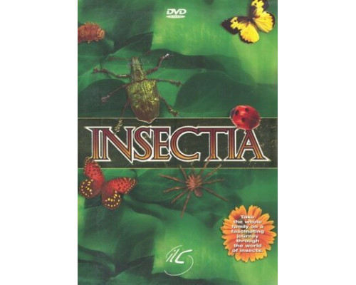 Страсти по насекомым смотреть онлайн
