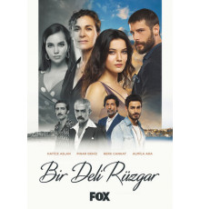 Сумасшедший ветер