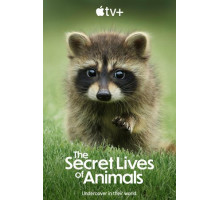 Тайная жизнь животных