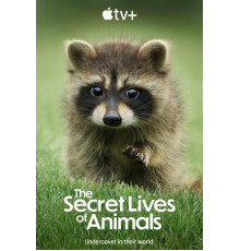 Тайная жизнь животных