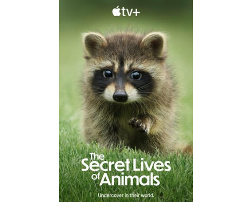 Тайная жизнь животных смотреть онлайн