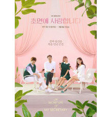 Тайная жизнь моего секретаря