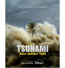 Цунами: Гонка со временем