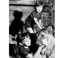 У меня есть лев