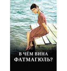 В чем вина Фатмагюль?