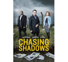 В погоне за тенями