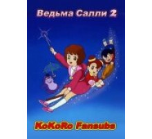 Ведьма Салли 2