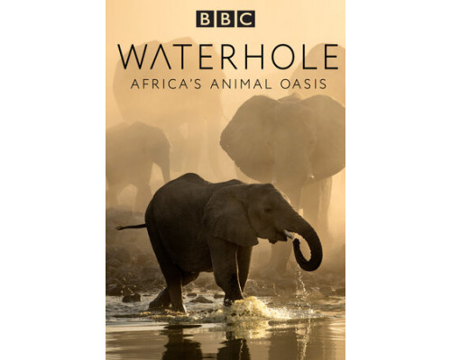 Водопой: Африканский оазис для животных смотреть онлайн