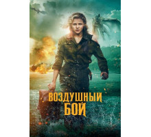 Воздушный бой