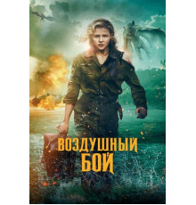 Воздушный бой