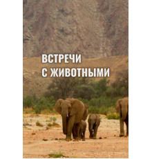 Встречи с животными