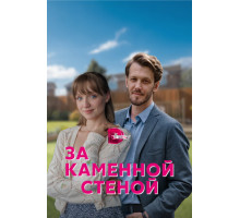 За каменной стеной
