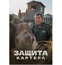 Защита Картера