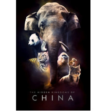 Затерянные царства Китая