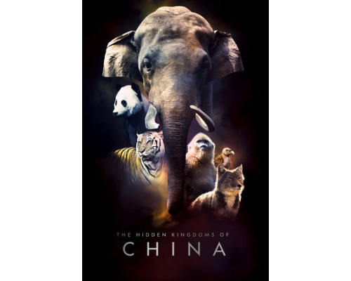 Затерянные царства Китая смотреть онлайн Затерянные царства Китая смотреть онлайн