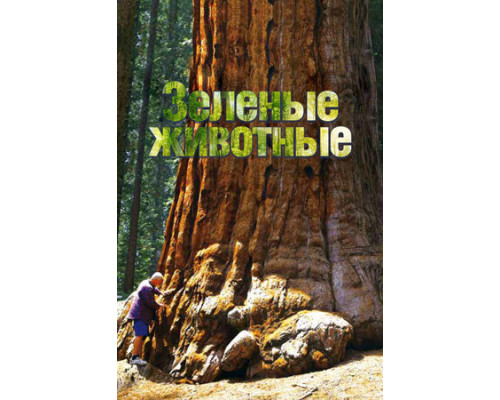 Зелёные животные смотреть онлайн